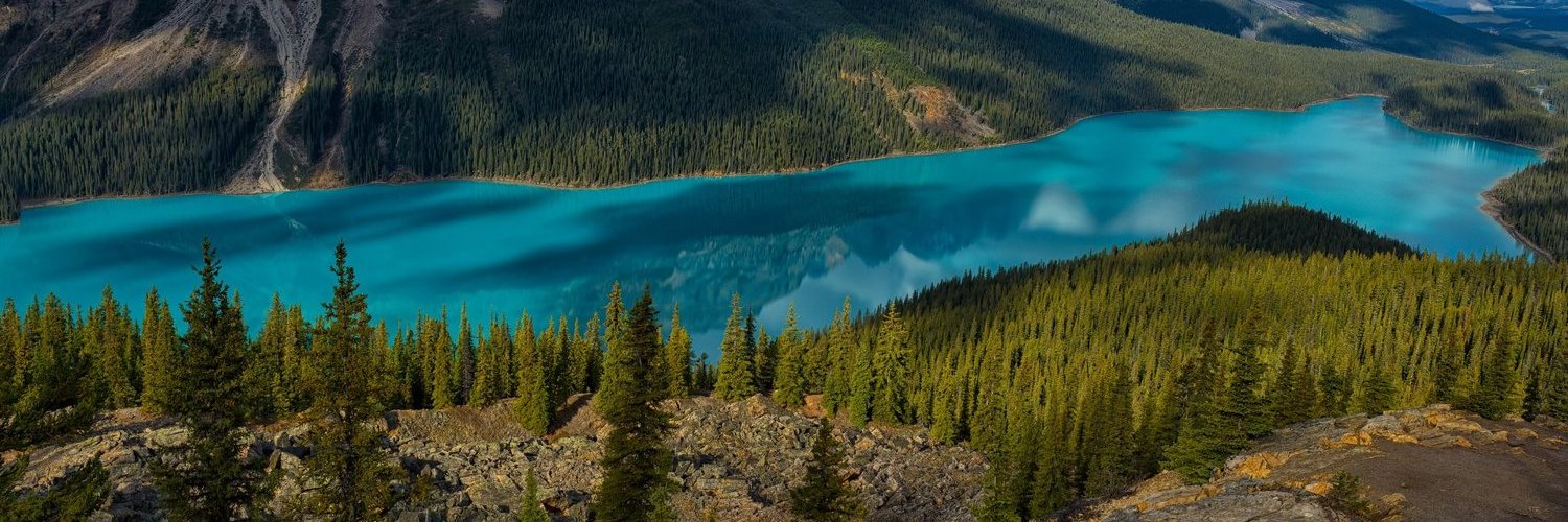 BouchereauV's profile banner image