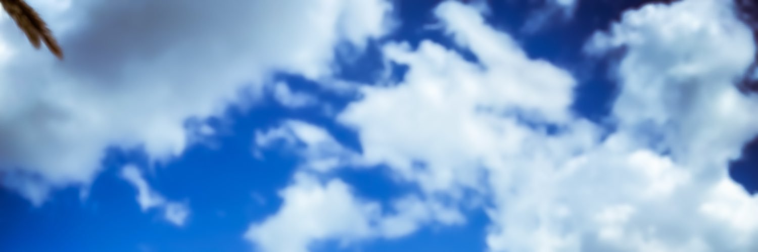 drjbastos's profile banner image