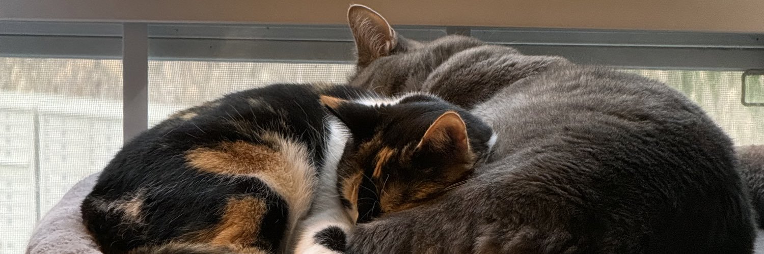 William Dillon banner