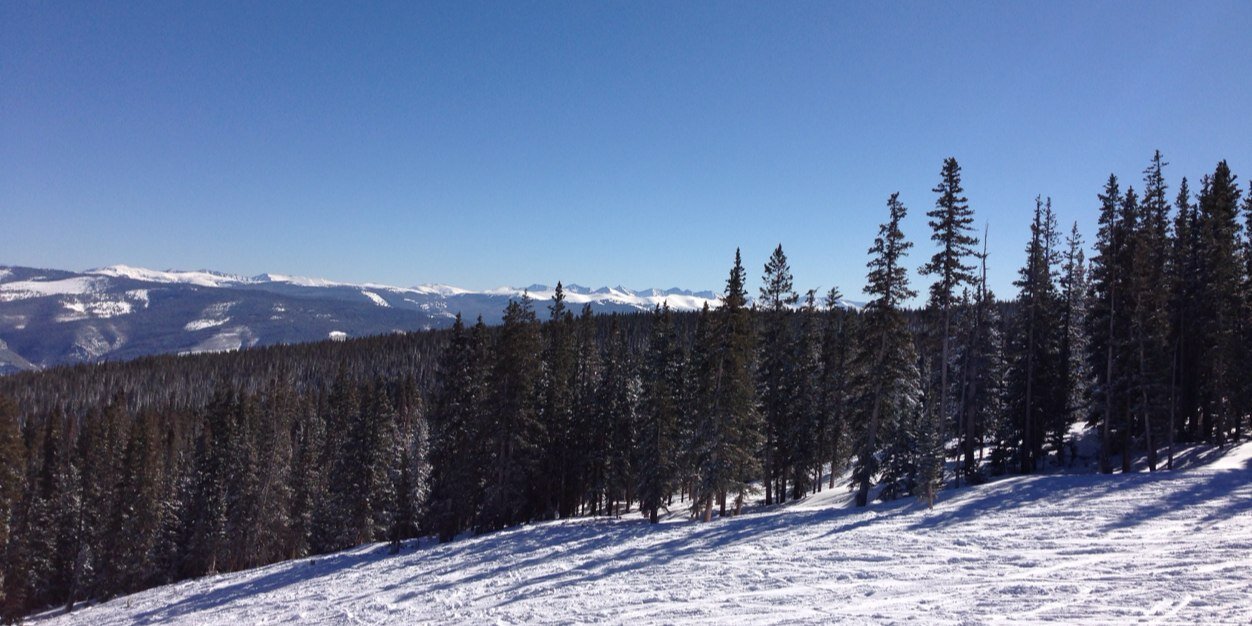 Brian Rothstein banner