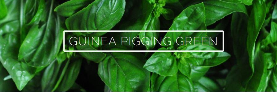 GreenGuineaPigs's profile banner image