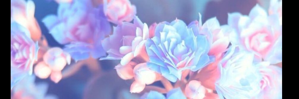 TheGraceSwift's profile banner image