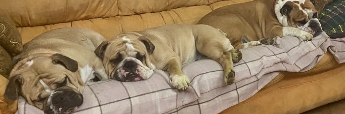 Da se ja pitam banner