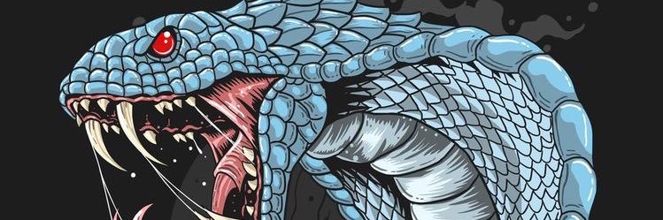 tomipapichulo's profile banner image