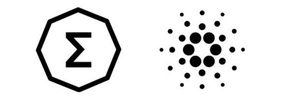 CryptoDomF Profile Banner