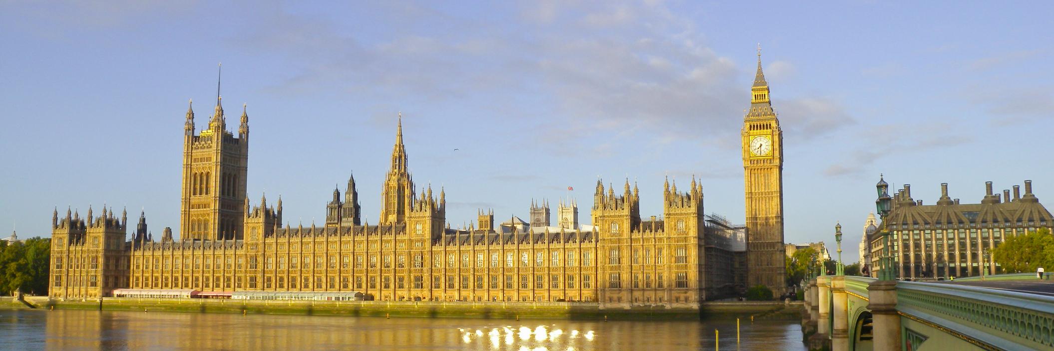 Westminster2010 banner