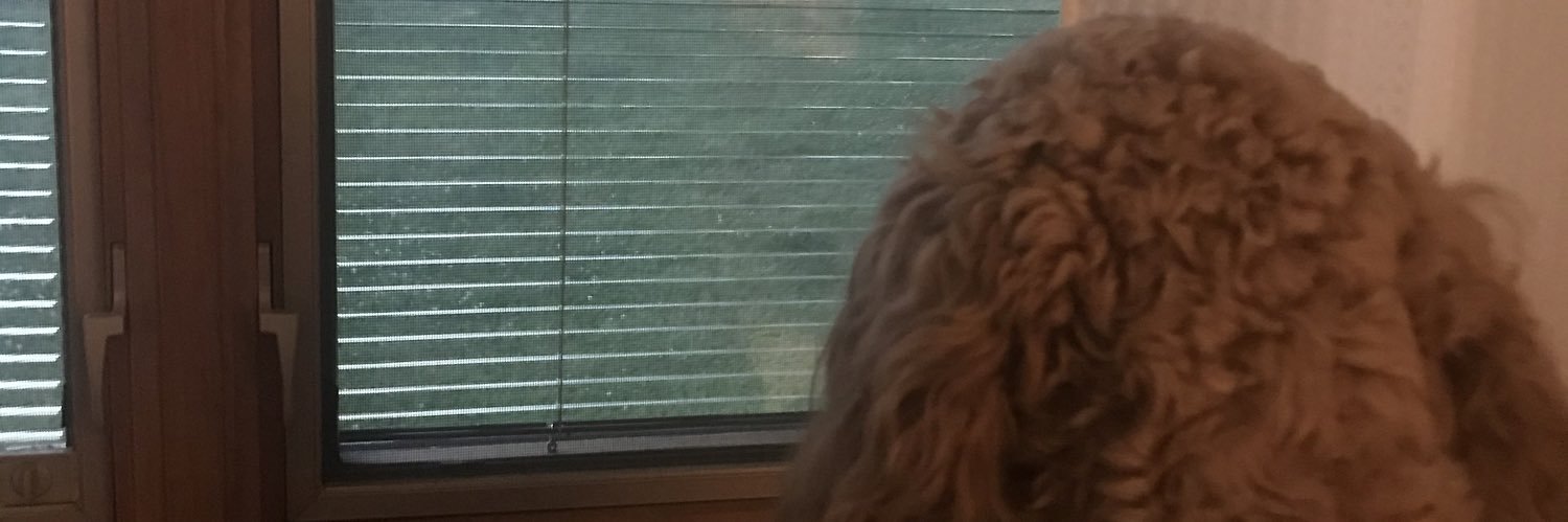 Davinnnn_'s profile banner image