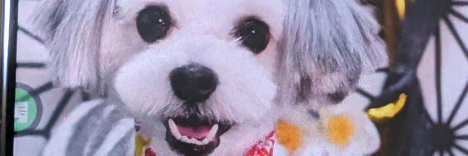 minorai28's profile banner image