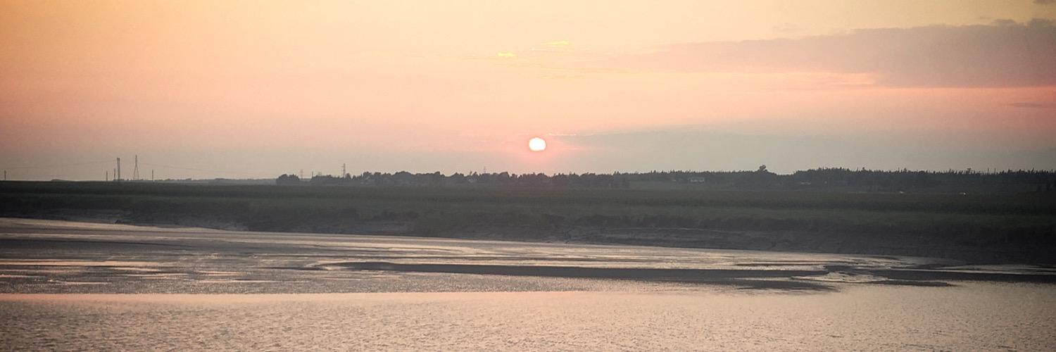 justinewhidden's profile banner image
