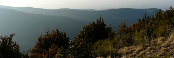 positiv_handeln Profile Banner