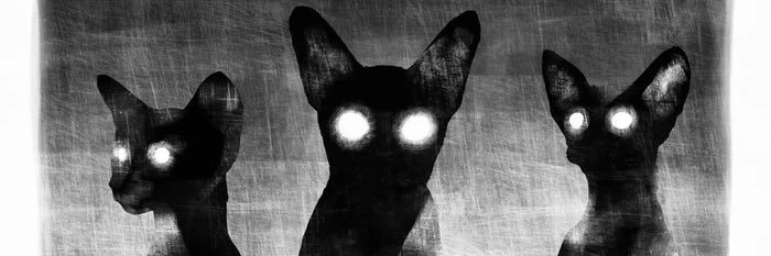 𖤐A Suave Devil𖤐 banner