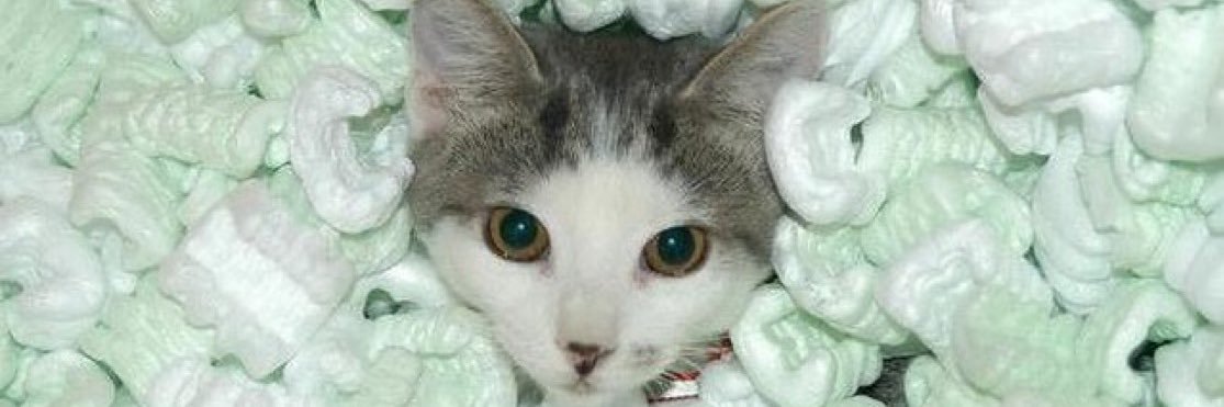 lilangelbear's profile banner image