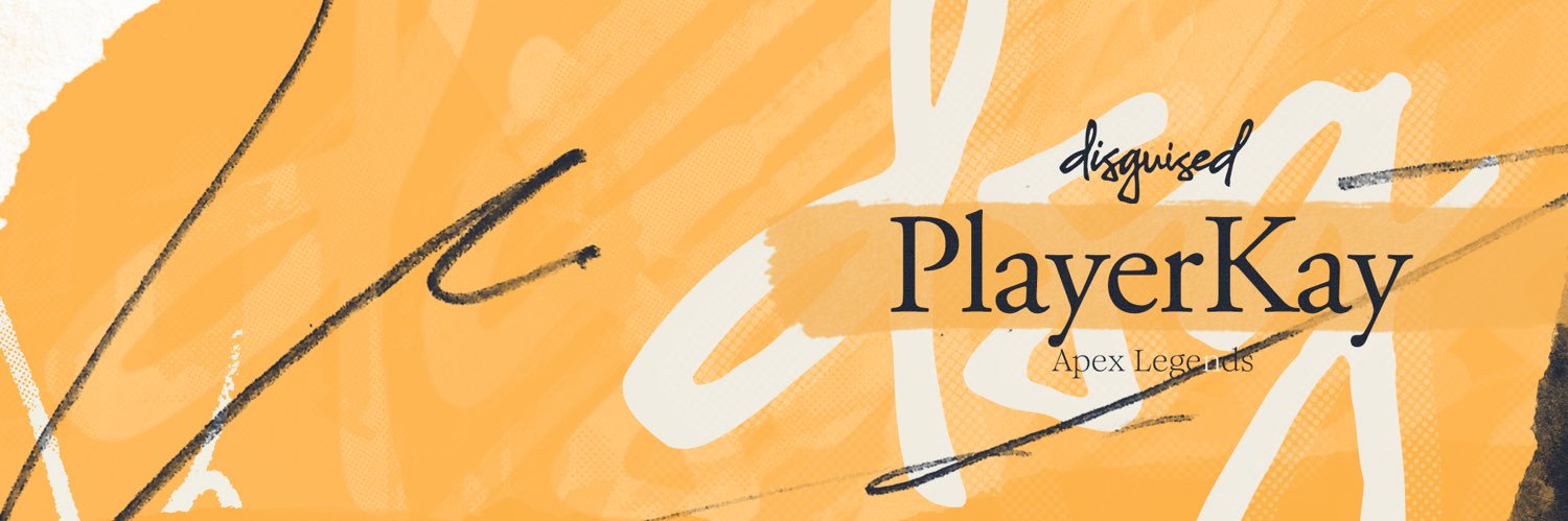 PlayerKay banner