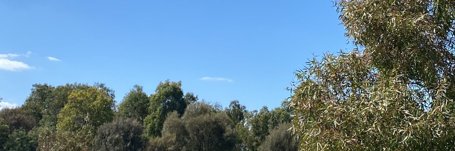 marklawrence's profile banner image