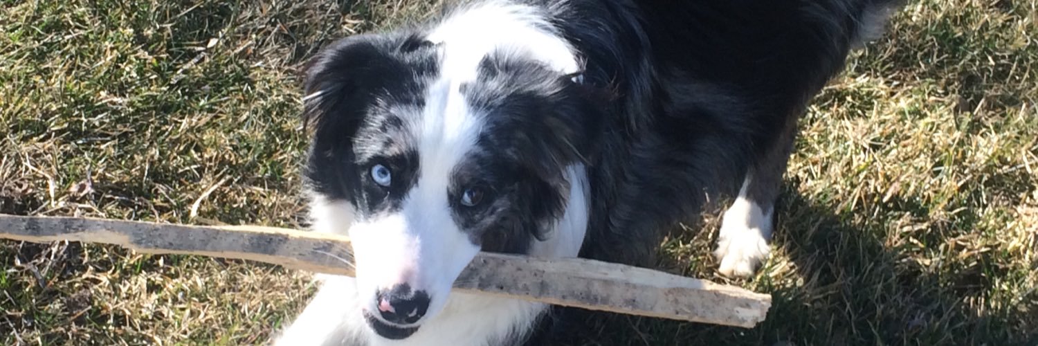Tymazz's profile banner image