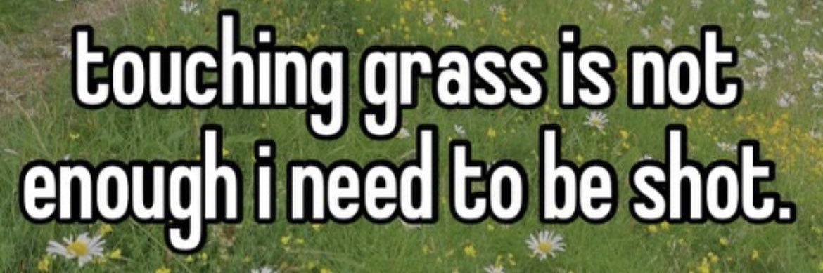 isa 🌿 banner
