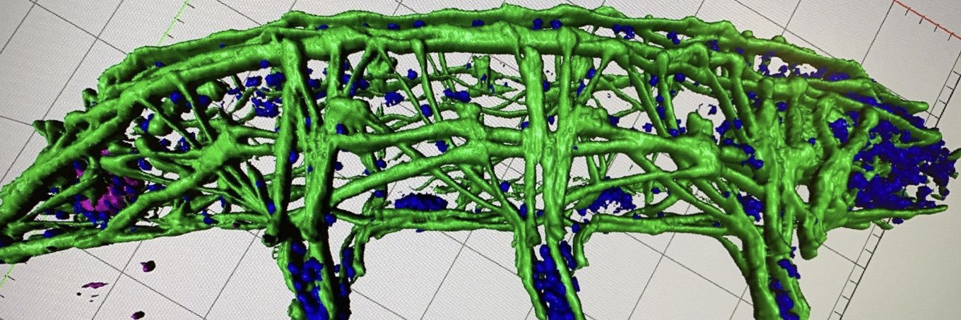 Wyoming Water Bear Lab banner