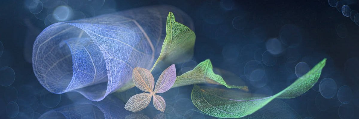 MarieSibille's profile banner image