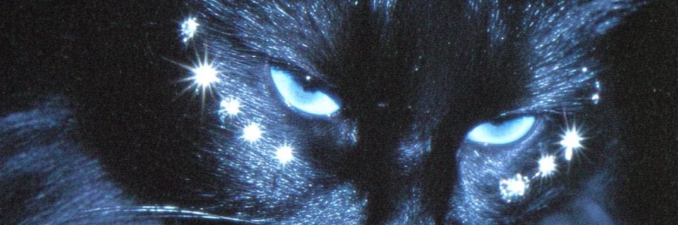 yuckowens's profile banner image