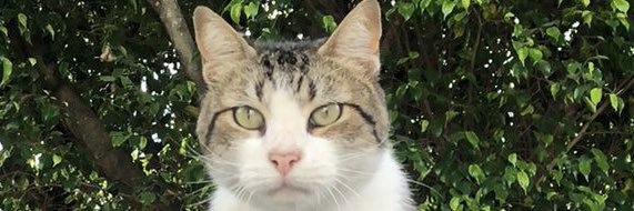 juana_hs's profile banner image