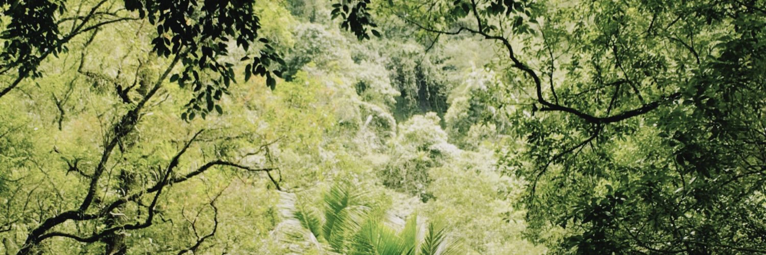 pipiipaw's profile banner image