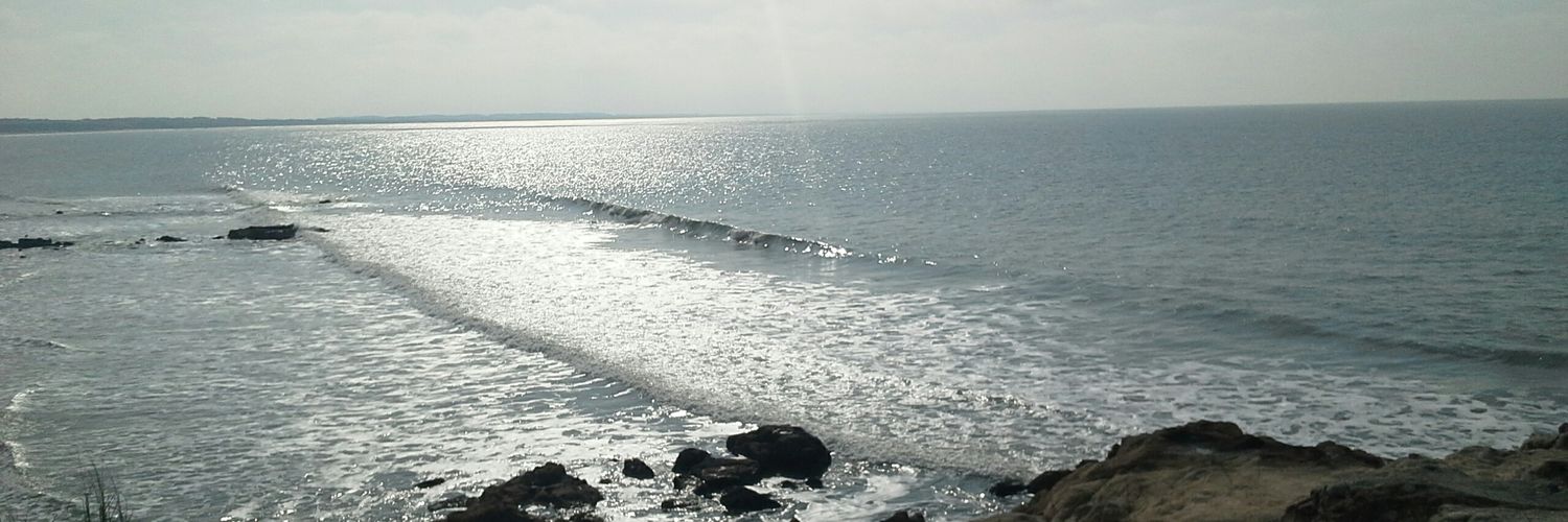 AlejCecchetto's profile banner image
