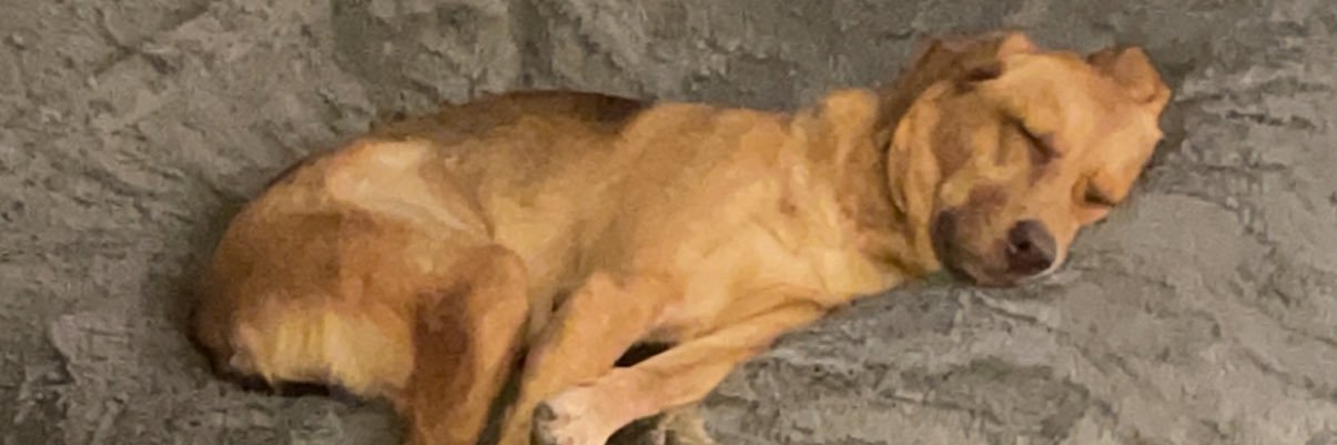 _RuMmE's profile banner image