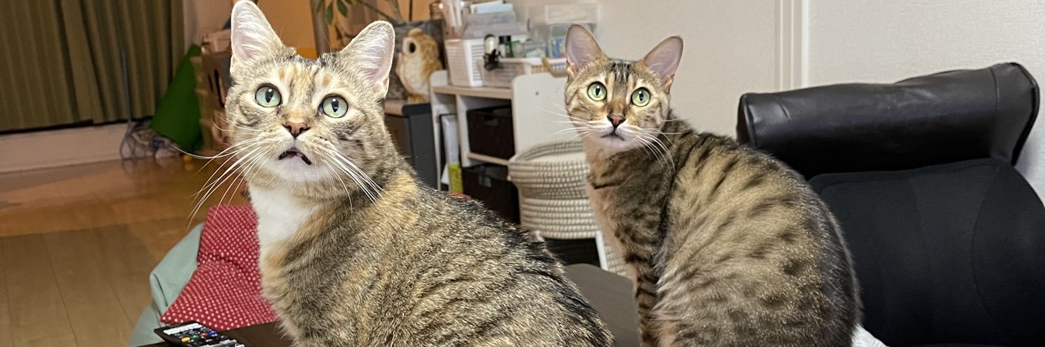 うめのこんぶ banner