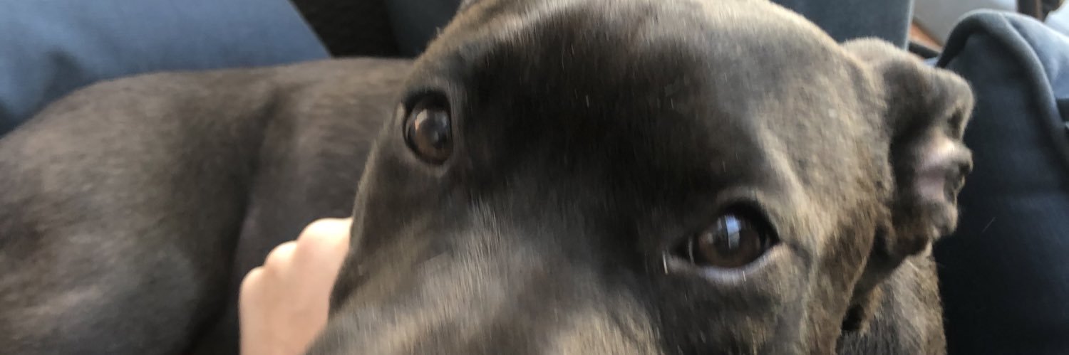 Jacob Gonzalez banner