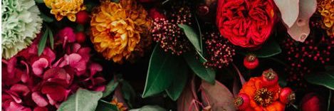 MarelliSánchez banner