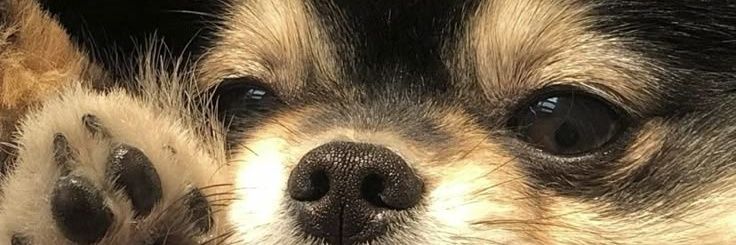 xmarihope's profile banner image