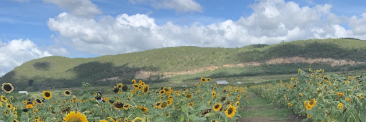 jaileenayala's profile banner image