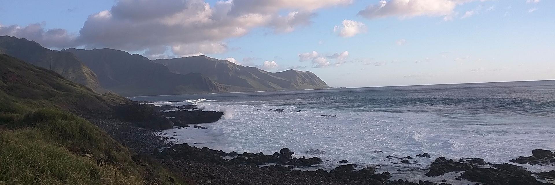 Brian T. Edwards banner