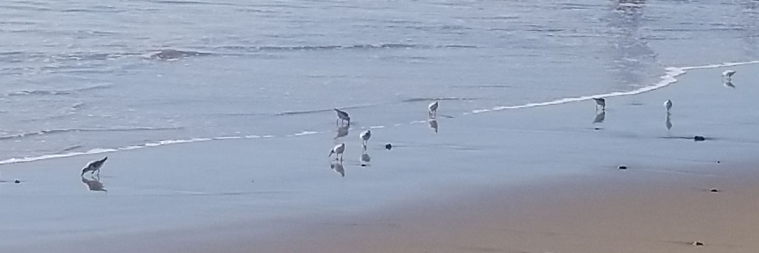 لا أدري banner