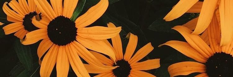 Catarsisand's profile banner image
