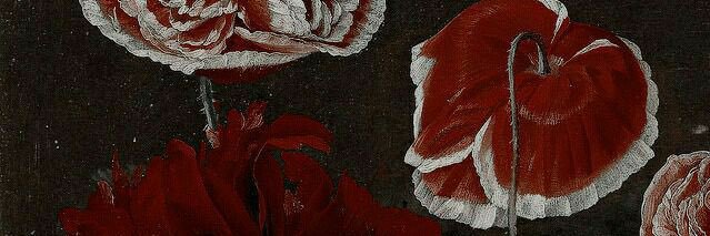 mascmadden's profile banner image