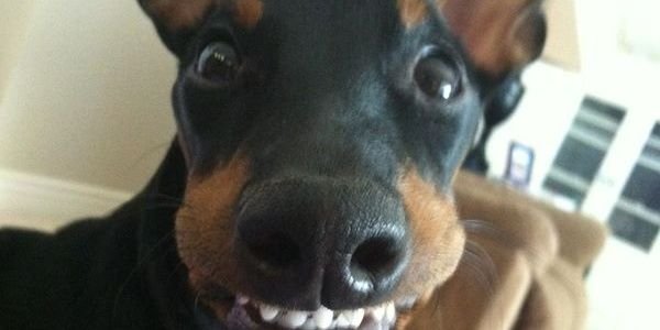 annpetersen63's profile banner image