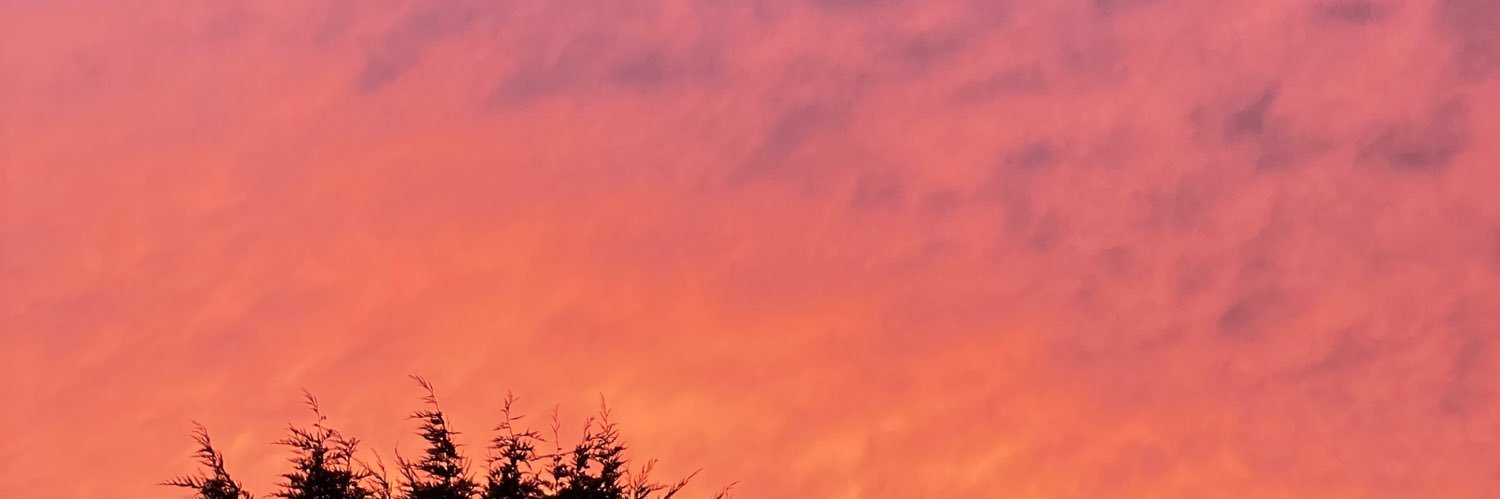 Jen O’Mara (RNutr) banner