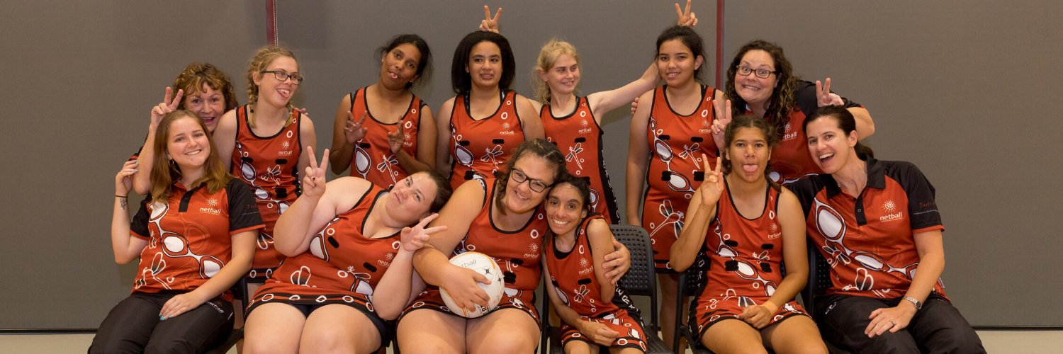 Netball NT banner