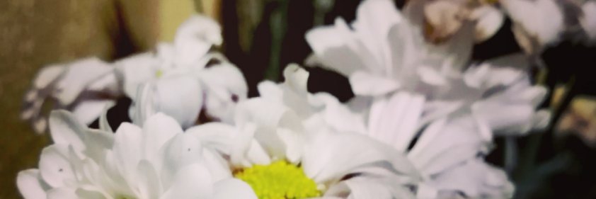 heyMierin's profile banner image
