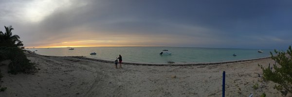 LF Profile Banner