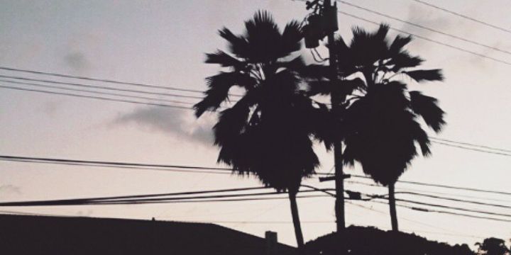 vvvtrc's profile banner image