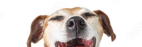 illbedncingband's profile banner image