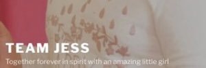 TeamJess banner