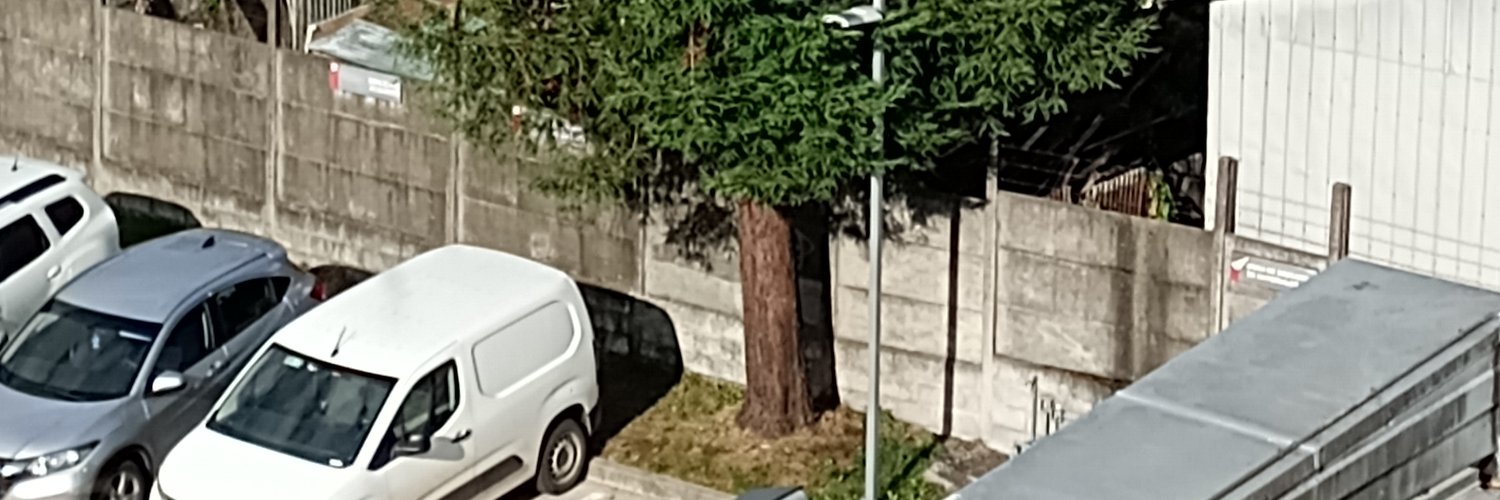 sonneblau_'s profile banner image