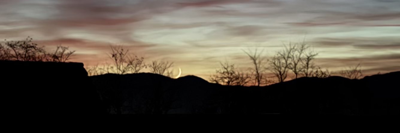 David est parti d’ici banner