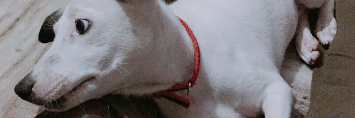 N I C K 🇮🇳 banner