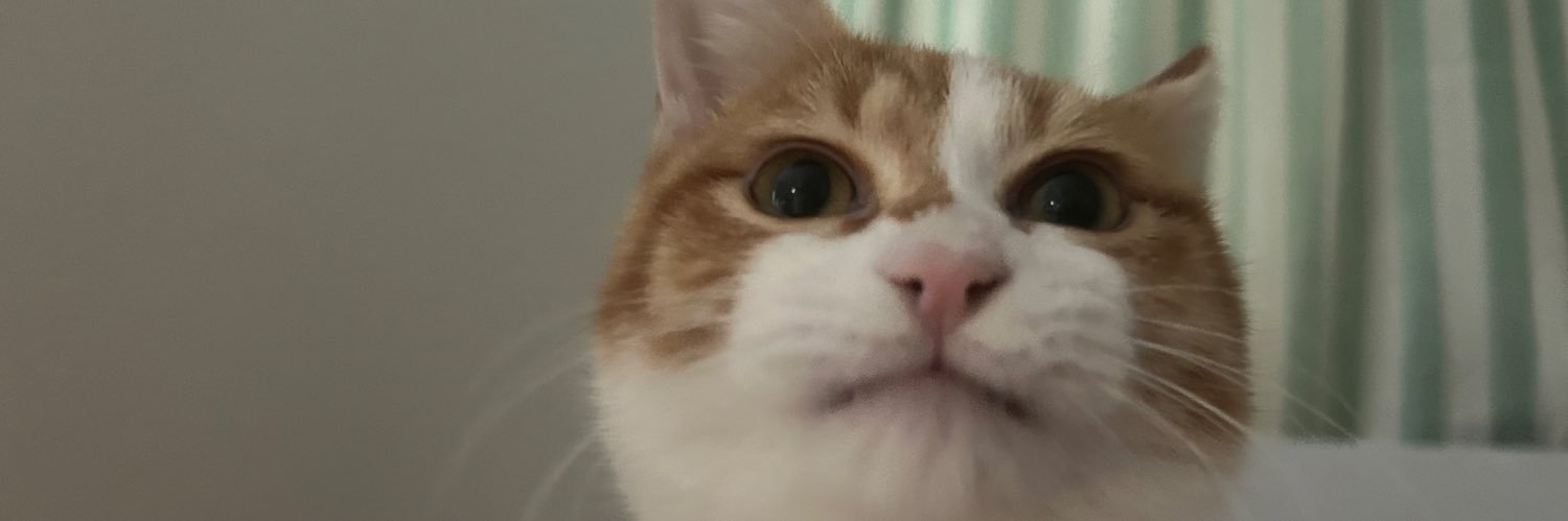 soranenosub's profile banner image