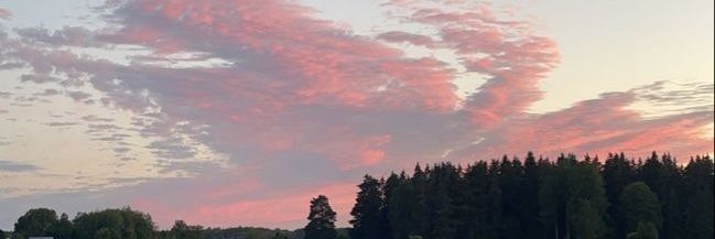 zeelariouss's profile banner image