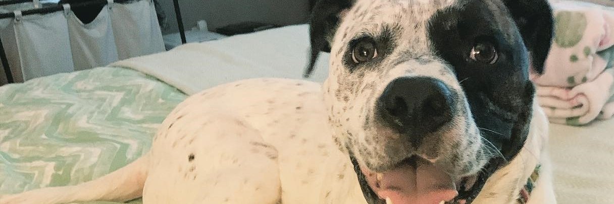 haileyleopold's profile banner image